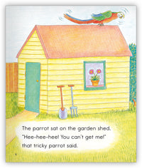 Dan and the Parrot from Joy Cowley Collection