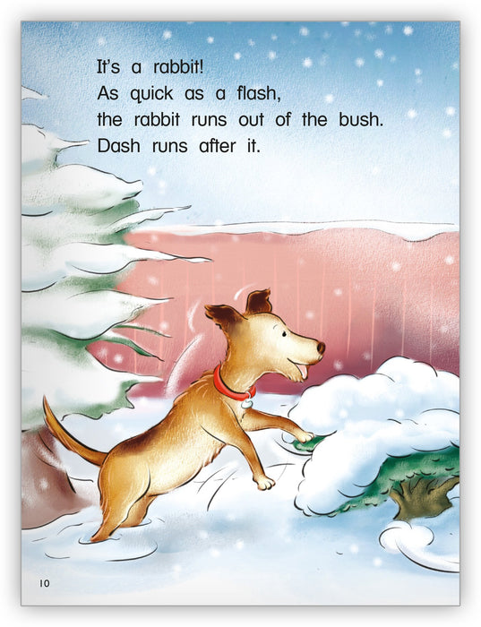Dash's First Snow from Kaleidoscope Collection