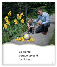 Decir lo siento