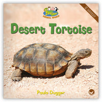 Desert Tortoise from Zoozoo Animal World