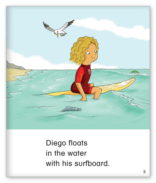 Diego Goes Surfing