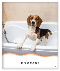 Dog Bath from Kid Lit