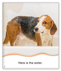 Dog Bath from Kid Lit