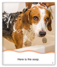 Dog Bath from Kid Lit