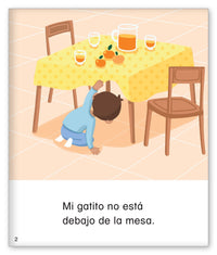 Dónde está mi gatito?