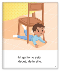 Dónde está mi gatito?