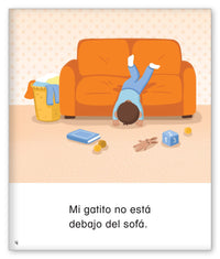 Dónde está mi gatito?