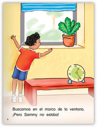 ¿Dónde está Sammy?