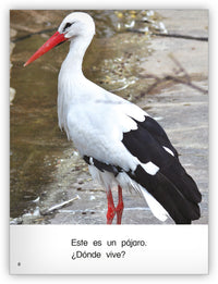 ¿Dónde vive? from Colección Caleidoscopio