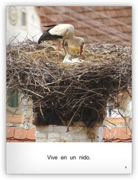 ¿Dónde vive? from Colección Caleidoscopio