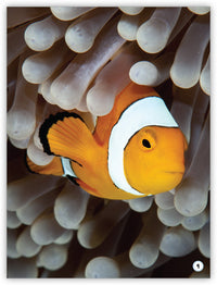 ¿Dónde viven los animales?