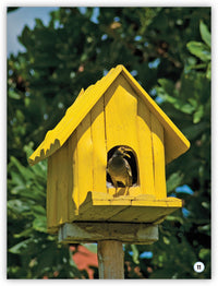 ¿Dónde viven los animales?