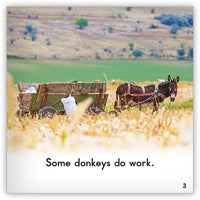 Donkey from Zoozoo Animal World