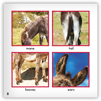 Donkey from Zoozoo Animal World