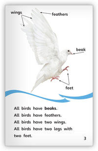 Doves from Fables & the Real World