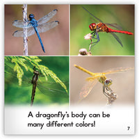 Dragonfly Leveled Book