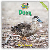 Duck from Zoozoo Animal World