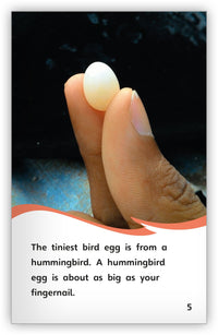 Eggs from Fables & the Real World