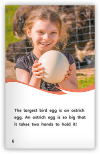 Eggs from Fables & the Real World