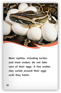 Eggs from Fables & the Real World