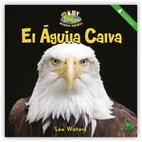 El águila calva Leveled Book