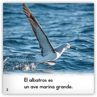 El albatros