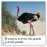 El avestruz from Zoozoo Mundo Animal