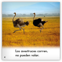 El avestruz from Zoozoo Mundo Animal