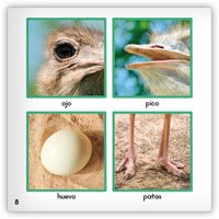 El avestruz from Zoozoo Mundo Animal