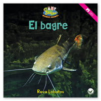 El bagre from Zoozoo Mundo Animal