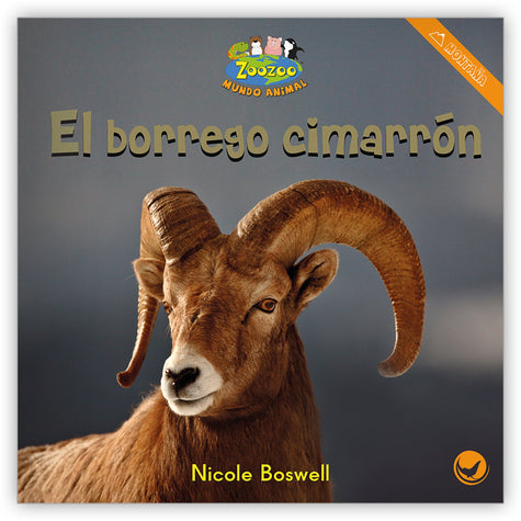 El borrego cimarrón from Zoozoo Mundo Animal