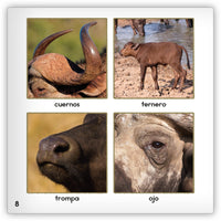 El búfalo from Zoozoo Mundo Animal