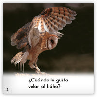 El búho from Zoozoo Mundo Animal