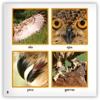 El búho from Zoozoo Mundo Animal