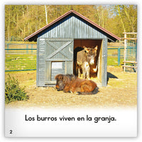 El burro from Zoozoo Mundo Animal