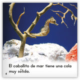 El caballito de mar from Zoozoo Mundo Animal