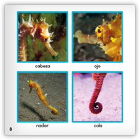 El caballito de mar from Zoozoo Mundo Animal