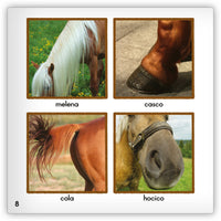 El caballo Leveled Book