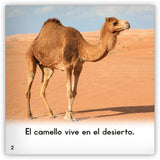 El camello from Zoozoo Mundo Animal