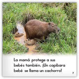 El capibara