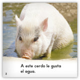 El cerdo from Zoozoo Mundo Animal