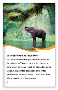 El ciclo de vida de una planta from Fábulas y el Mundo Real