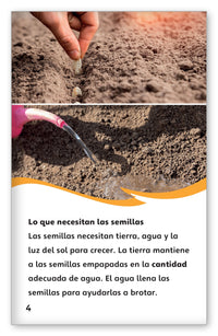 El ciclo de vida de una planta from Fábulas y el Mundo Real