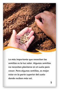 El ciclo de vida de una planta from Fábulas y el Mundo Real