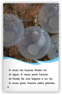 El ciclo de vida del pez from Fábulas y el Mundo Real