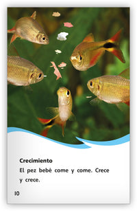 El ciclo de vida del pez from Fábulas y el Mundo Real
