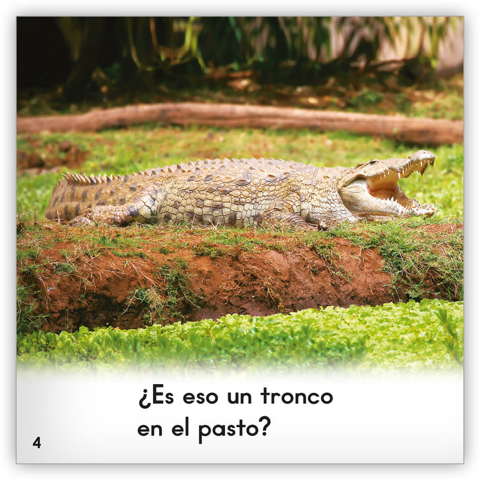 El cocodrilo from Zoozoo Mundo Animal