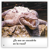 El cocodrilo from Zoozoo Mundo Animal