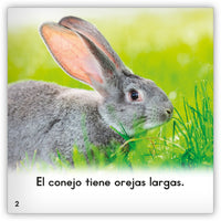 El conejo from Zoozoo Mundo Animal