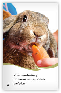 El cuidado de conejos mascotas from Fábulas y el Mundo Real